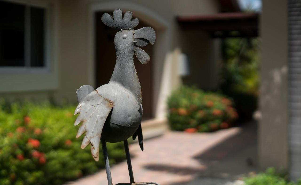 Costa Esmeralda Village Palm Beach Kültér fotó